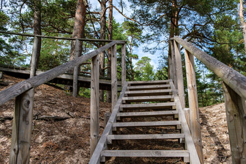 wooden boardwalk trail in green forest