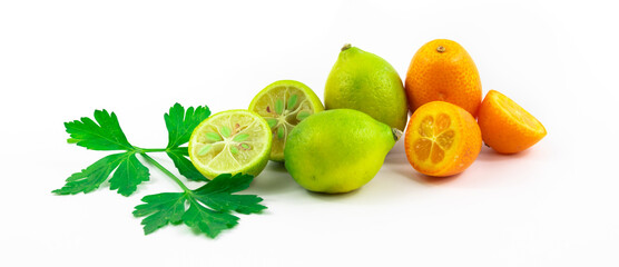 Kumquats and limequats, beautiful composition of small citrus fruits on white isolated background banner
