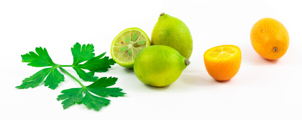 Kumquats and limequats, beautiful composition of small citrus fruits on white isolated background banner