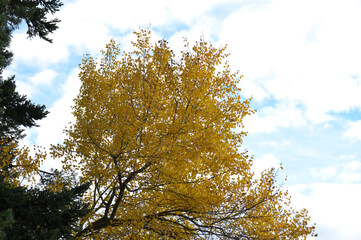Herbstliche Stimmung!