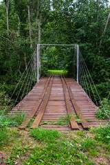 Obraz premium wooden boardwalk trail in green forest