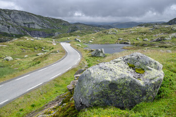 Fototapeta na wymiar Tundra landscape with tarmac road, rocks and arctic plants