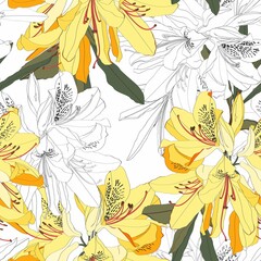 Fototapeta premium Seamless pattern with Oleander flower. Floral composition. Yellow Rhododendron flowers and black line on a white background. 