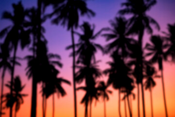 Fototapeta premium Blur silhouette palm or coconut trees at sunset