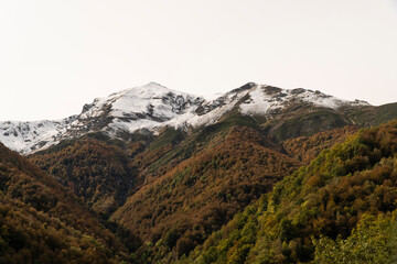 Fototapeta na wymiar snow mountain landscape with auntumn forest