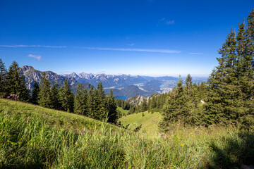 Fototapeta na wymiar In den Ammergauer Alpen