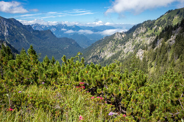In den Ammergauer Alpen