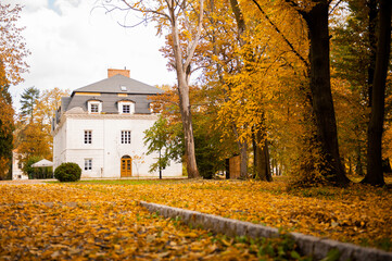 Autumn in Poland. 