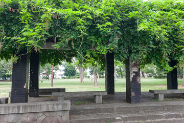 善福寺川緑地公園（東京都杉並区成田東2丁目）