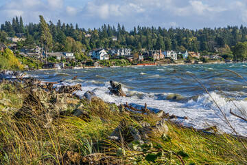 Windy Seashore Landscape 3