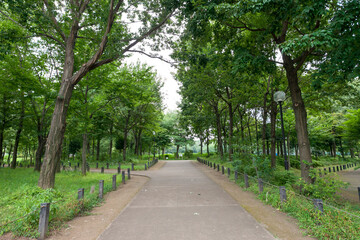 柏の宮公園（東京都杉並区浜田山）