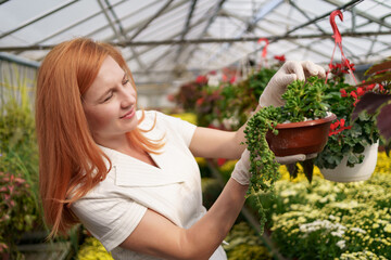 Smiling florist in her nursery inspecting potted flowers as she tends to the garden plants in the greenhouse
