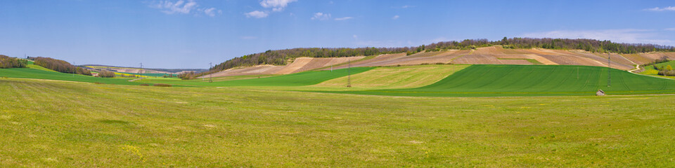 Rural panorama. Panoramic view of agricultural fields in summer.