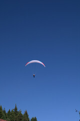 paragliding in the blue sky, sport, fly,glider, freedom,extreme, flying,adventure, flight, wind,