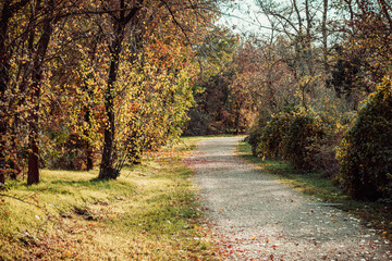 a way in the city park in autumn