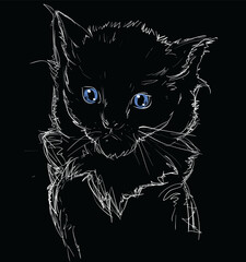 Vector Illustration of Adorable Blue-Eyed Cat on Black. Sketched Little Cute Kitten. Monochrome Freehand Drawing. Kids Style Graphic. Stylized Cartoon Beautiful Kitty. Realistic Drawing. Animal Art.
