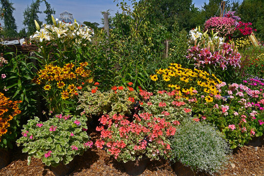 A colourful well planted flower border with mixed planting