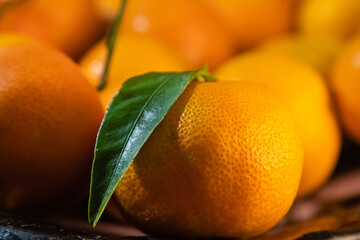 Corsican orange mandarins in a dish close-up