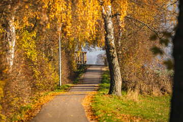 Herbstlicher Weg