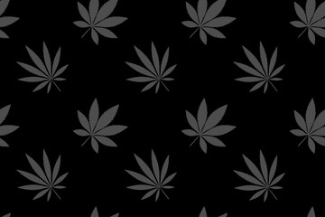 Green pattern of dark leaves of Cannabis Indica, Sativa