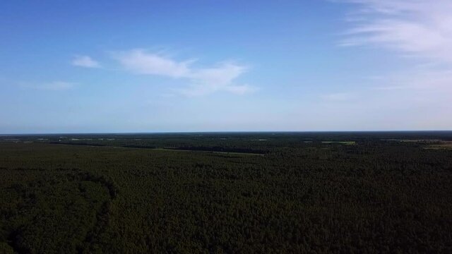 Panarona view of Estonia forest
