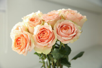 Bouquet of beautiful pink roses indoors, closeup