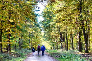 Fototapeta premium eine familie geht in bunten kleiden im wald