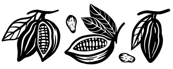 set of cocoa beans hand drawing. vector isolated on white background