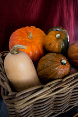 Fresh garden vegetables in the basket: pumpkin, apple, carrots, cherry tomatoes and red onion. Autumn harvest photo.  Dark grey background. 