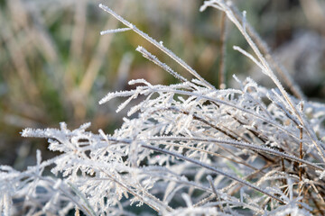 Close up view of winter frost on grass 