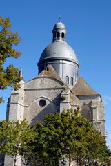 ville de Provins, église dans les arbres en centre ville, département de Seine-et-Marne, France