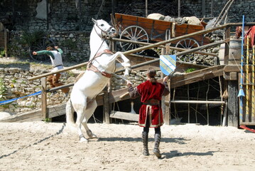 ville de Provins, spectacle "La légende des chevaliers", Cité Médiévale, département de Seine-et-Marne, France