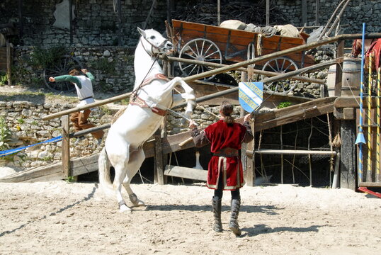 ville de Provins, spectacle "La l&eacute;gende des chevaliers", Cit&eacute; M&eacute;di&eacute;vale, d&eacute;partement de Seine-et-Marne, France