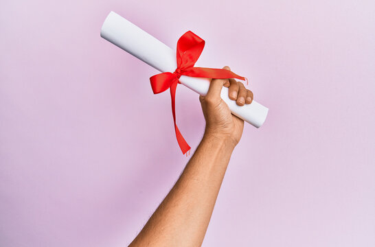 Hand of hispanic man holding graduated diploma over isolated pink background.