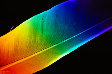 Prism feather