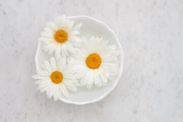 Obraz premium Chamomile flowers floating in bowl of water on marble table