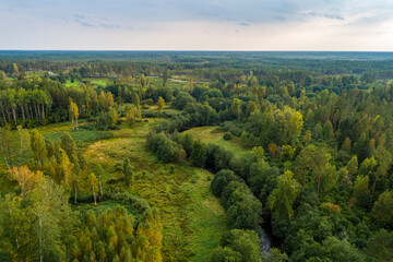 Aerial view of river among the forest. Summer nature landscape. Sunset.