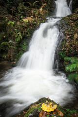 Fototapeta premium Todtmooser Wasserfälle am Rüttebach im Schwarzwald, Deutschland