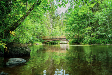 Outcrops of Devonian sandstone on the banks of Ahja river, Estonia.