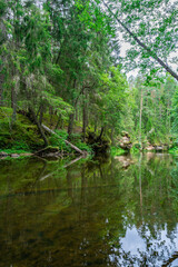 Outcrops of Devonian sandstone on the banks of Ahja river, Estonia. 