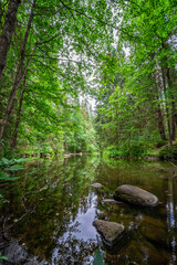 Outcrops of Devonian sandstone on the banks of Ahja river, Estonia. 