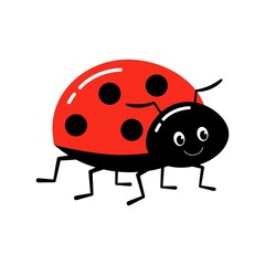 Ladybug or ladybird vector graphic illustration, isolated.