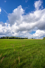 Green field. Summer landscape. Beautiful clouds. Nature background.