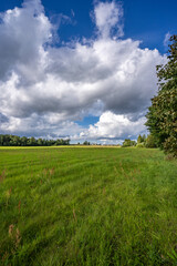 Green fields at summer day, nature landscape. Amazing sky with epic clouds.