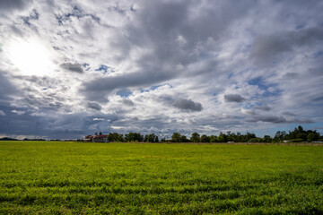 Fototapeta na wymiar Green fields at summer day, nature landscape. Amazing sky with epic clouds.