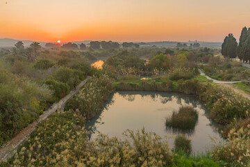 Fototapeta na wymiar Sunrise over wetland in En Afek nature reserve