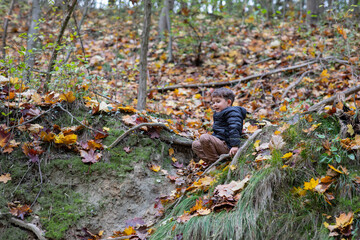 Beautiful little boy having fun in a forest