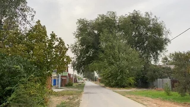 Trees is fluttering in a strong wind. Dust storm and bad weather on a cloudy autumn day. Plants bend under the hurricane. Storm wind in the Rostov region of Volgodonsk, Russia. Slow-motion video