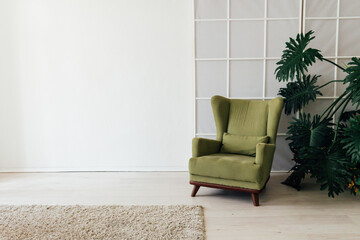 green chair with a plant in the interior of the white room