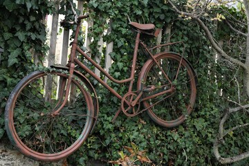 Fototapeta na wymiar Kreative Idee - Ein altes Fahrrad als Dekoration an einem Zaun